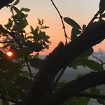 Monteborre * Cento (Emilia-Romagna)