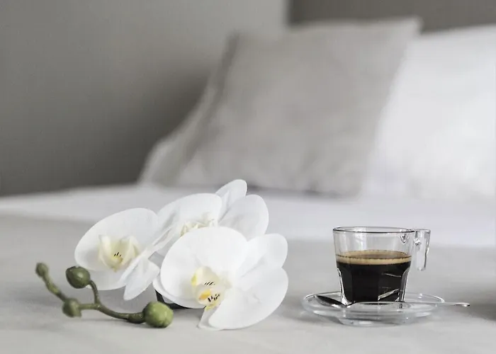 Gospodarstwo agroturystyczne Monteborre