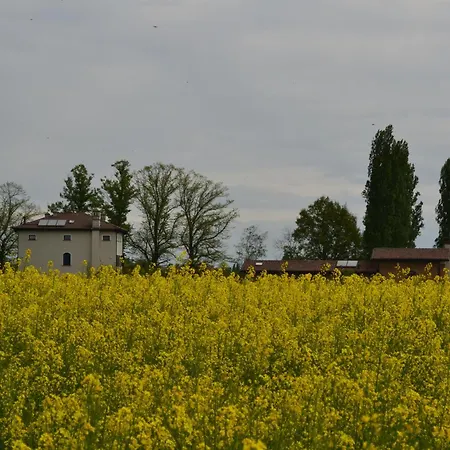 Monteborre *