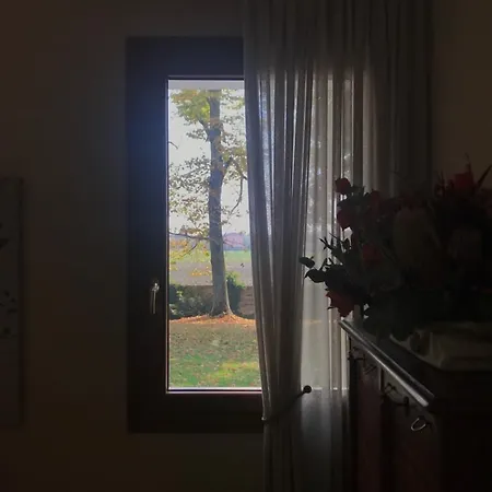 Monteborre 팜스테이 *