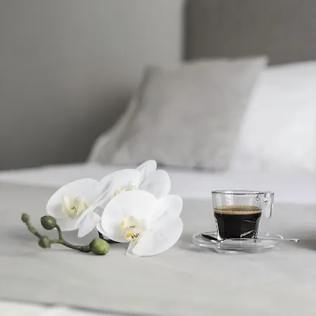 팜스테이 Monteborre